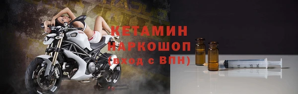 прущие грибы Чердынь