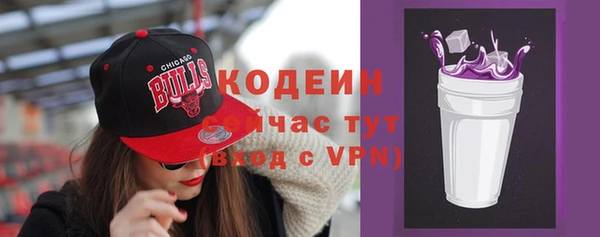 прущие грибы Чердынь