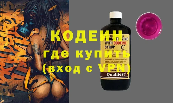 прущие грибы Чердынь