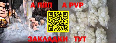 стафф Гай