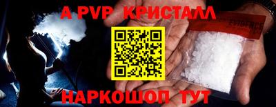 стафф Гай
