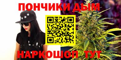 стафф Гай