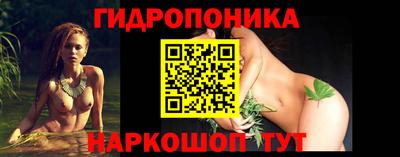 эйфоретик Гатчина