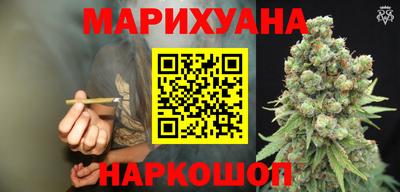 стафф Гай