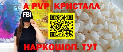 стафф Гай