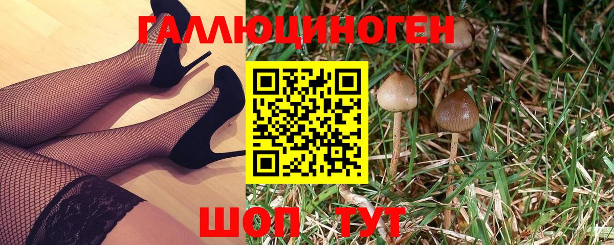 Каменск-Шахтинский  Галлюциногенные грибы прущие грибы  Вход с VPN 