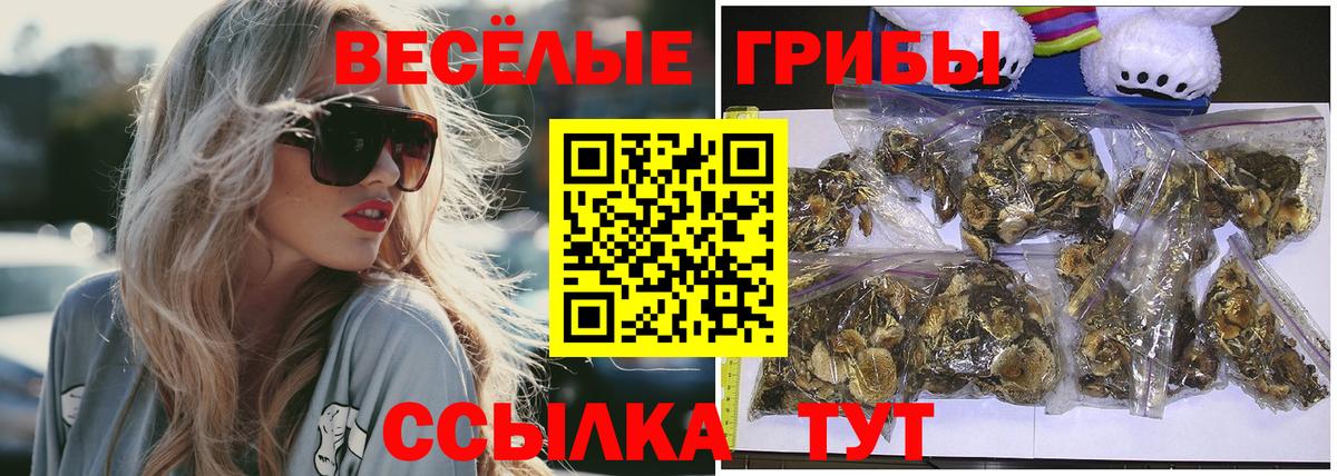 Псилоцибиновые грибы ЛСД Каменск-Шахтинский