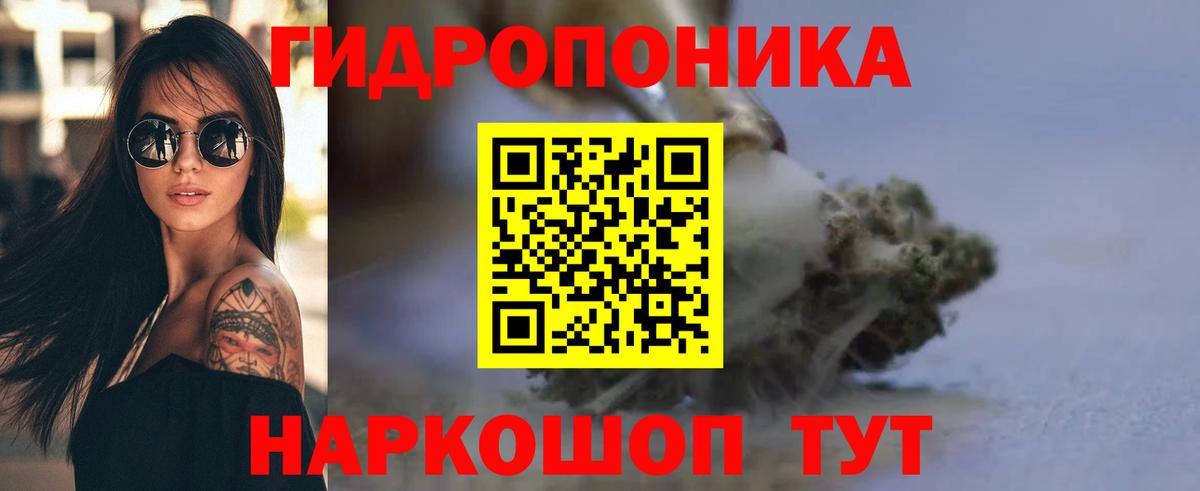 Бошки марихуана план  Каменск-Шахтинский  Бошки марихуана сатива  Канабис конопля 